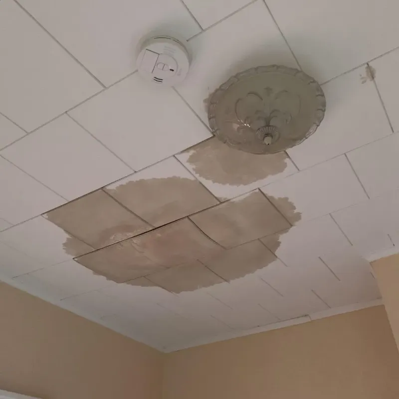 Ceiling Water Damage Repair in Lenoir, NC