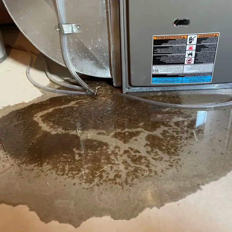 Pipe Burst and Leak Restoration in Lenoir, NC