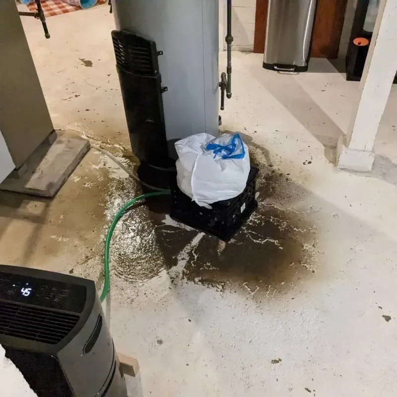 Sewage Backup Cleanup Service in Lenoir, NC